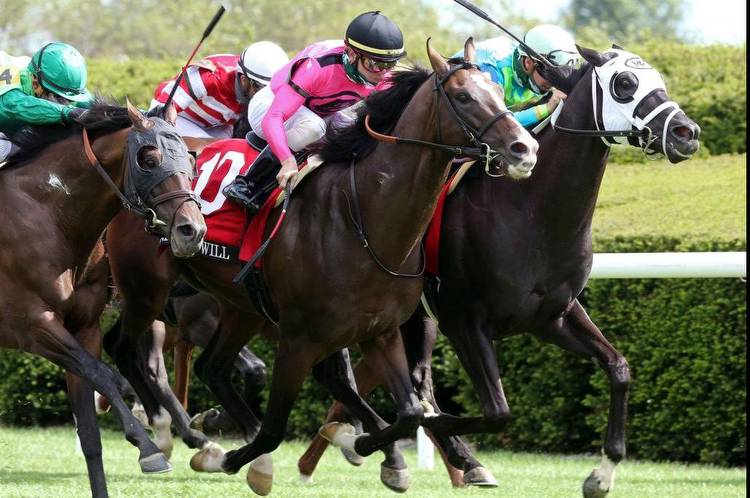 Top-shelf turf racing at Woodbine tops weekend horse racing