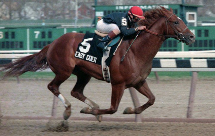 Topics: Looking Back, Easy Goer, Secretariat, aqueduct, Gotham Stakes, Dr. Fager, New York