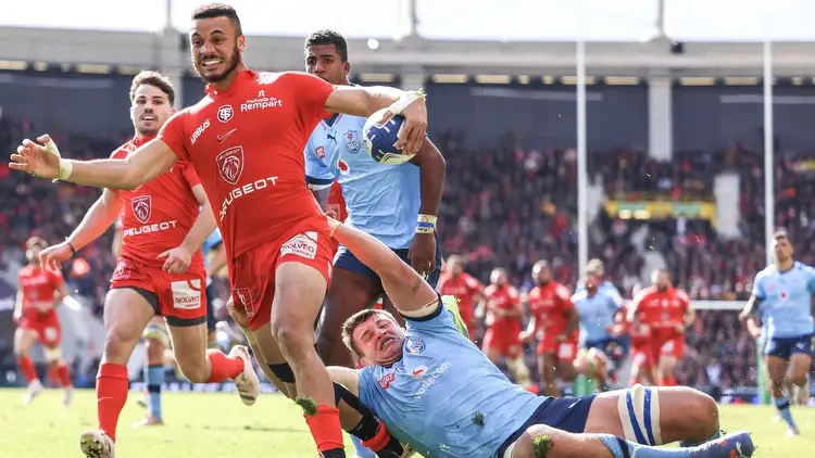 Toulouse vs Sharks Tips, Predictions, Preview & Odds