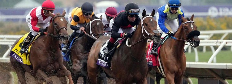 Travers Stakes 2023: Win, Place, Show, Exacta, Trifecta and Superfecta picks