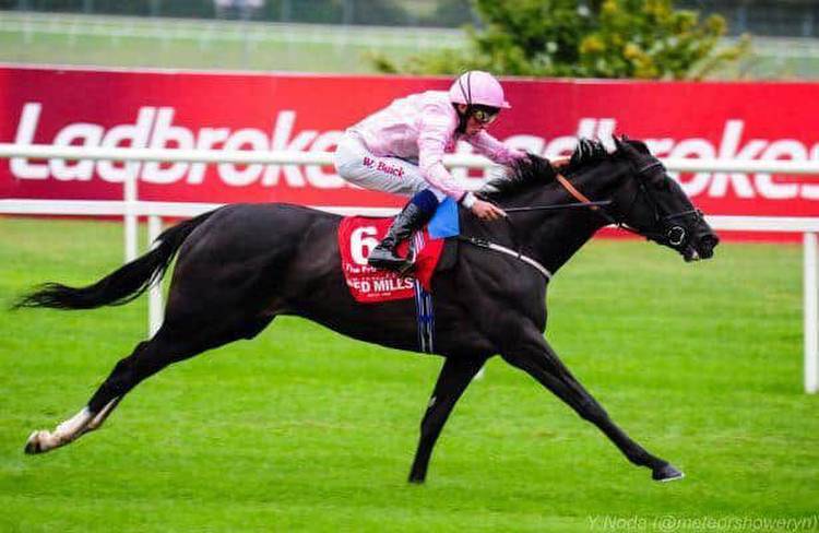 Treve defeated by The Fugue