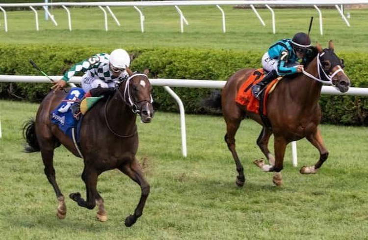 Turf Sprint at Kentucky Downs features 2 potential stars