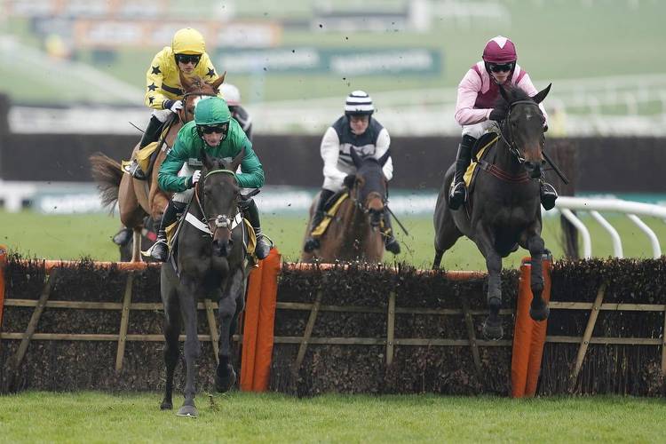 Turf Talk: Old foes go head-to-head once again in Paddy Power Gold Cup