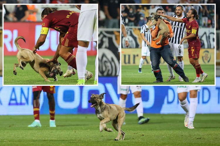 Turkish Super Lig clash between Altay and Goztepe interrupted as DOG runs onto pitch and chased by players