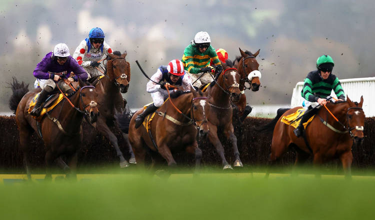 Two more tips for the last day of Cheltenham