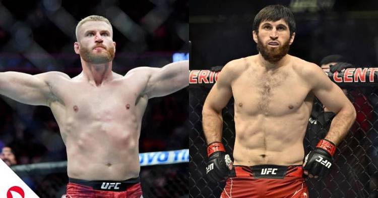 UFC 282 Odds & Picks, See The UFC 282 Betting Odds Here