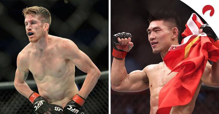 UFC Fight Night: Sandhagen vs Song Odds & Picks