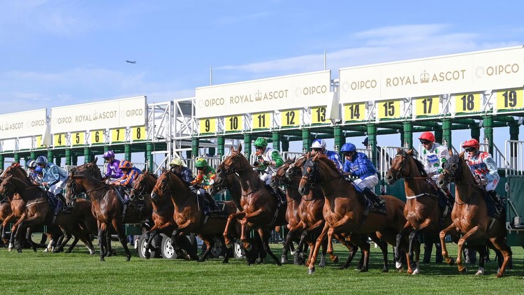 UK tipsters best bets and tips for Day 1 of Royal Ascot 2023