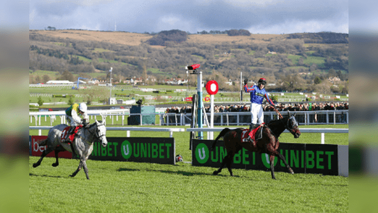 Ultima Handicap Chase Trends for the 2024 Cheltenham Festival