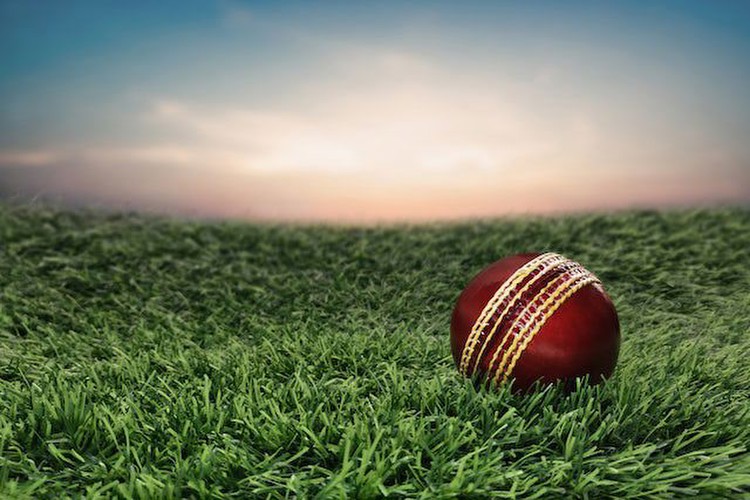 Ultimate guide to start cricket as a career