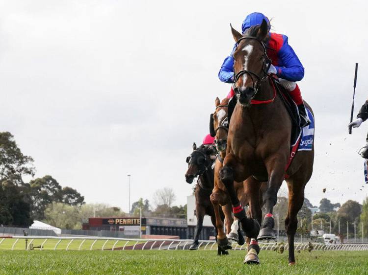 Underwood Stakes 2022: Runner-by-runner preview, tips and betting strategy