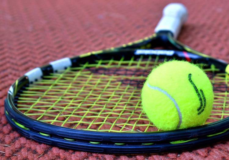 US Davis Cup tennis coaches banned for betting promotions