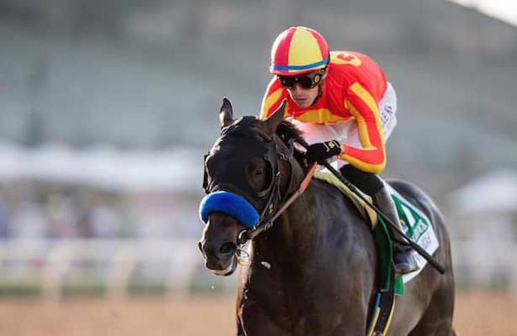Videos: Breeders' Cup Friday betting tips and picks