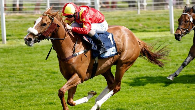 Virgin Bet Ayr Gold Cup Festival day two predictions: Gale Force Maya can star