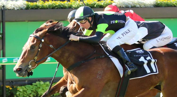 Vo Rogue Plate tipped to be a two horse race