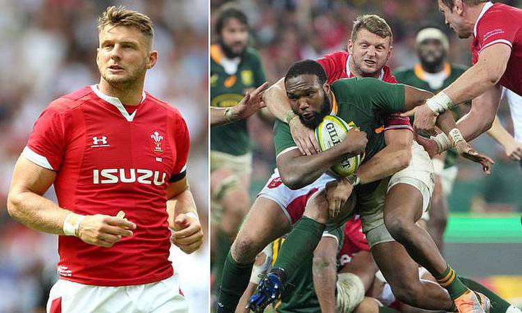 Wales captain encourages his players to take confidence from 'hugely positive' South Africa series