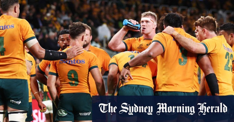 Wallabies: Matt Burke says Australia will find it difficult to win Rugby World Cup