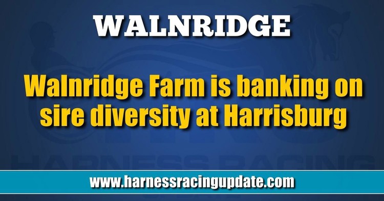 Walnridge Farm is banking on sire diversity at Harrisburg