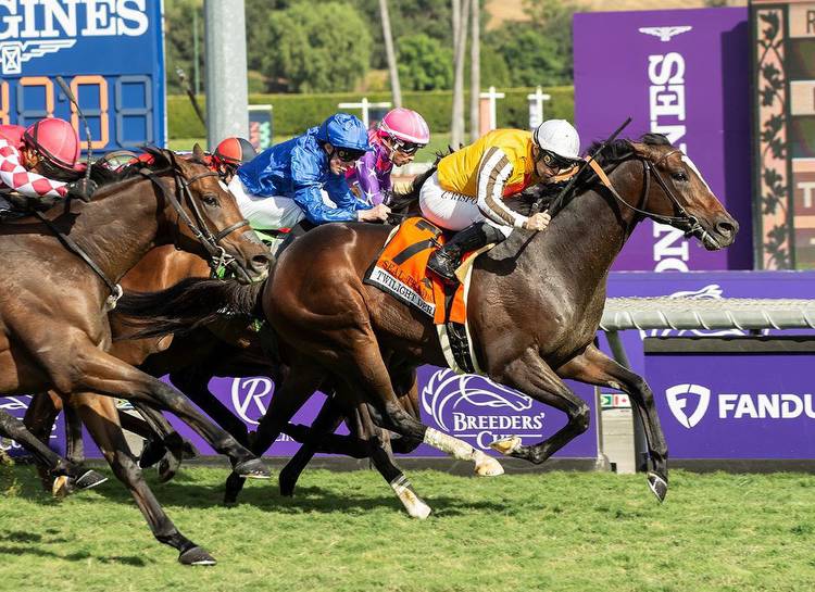 War Front's Seal Team Proves Narrowly Best in Twilight Derby