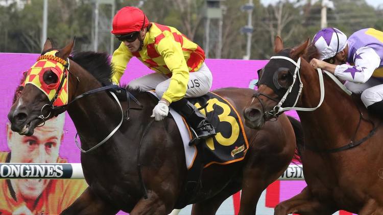 Warwick Farm preview: Mark Newnham is thrilled with Mission Phoenix