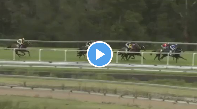 Watch 📺 Did this 4YO give us the Golden Slipper winner?