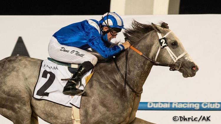 Watson hoping to beat the odds at Dubai World Cup