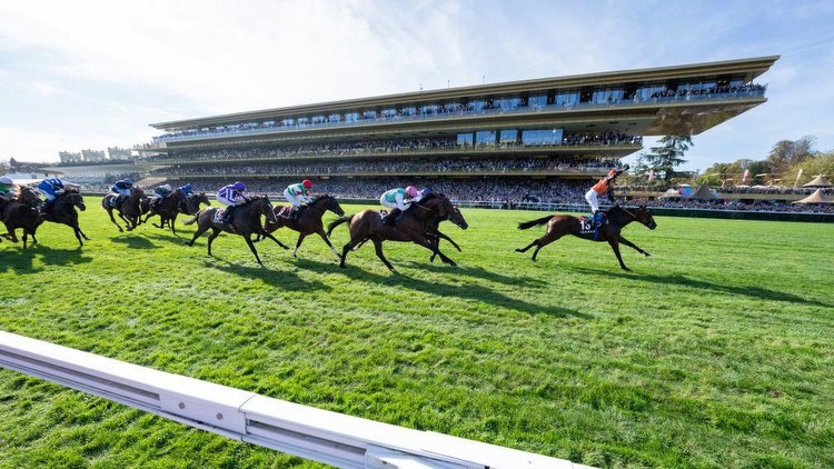 Westover retired to stud after suffering career-ending injury in Prix de l'Arc de Triomphe