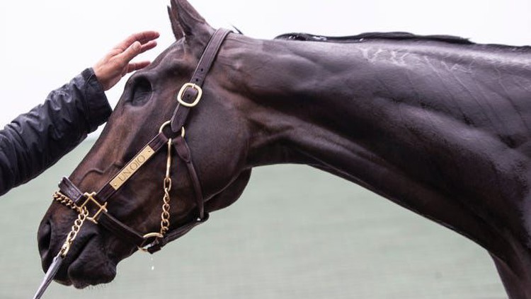 What is Dawn at the Downs at Churchill Downs Kentucky Derby Week