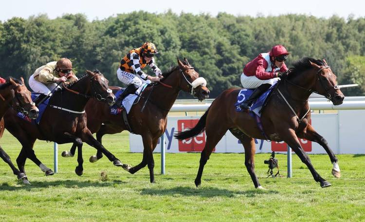 What was your biggest Royal Ascot pointer at Haydock or Beverley? Our Racing Post experts have their say