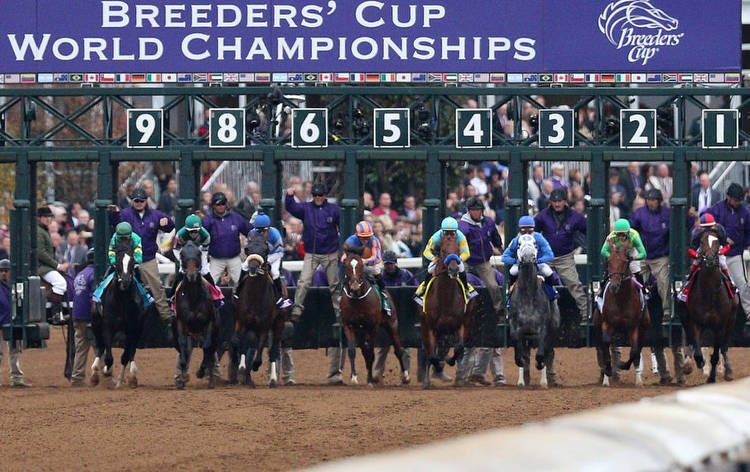 Where is the Breeders' Cup 2022 being held?