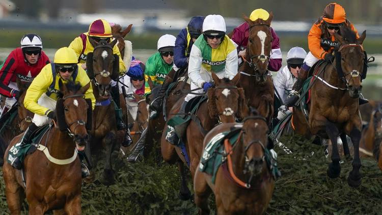Which Grand National horse to back based on your star sign