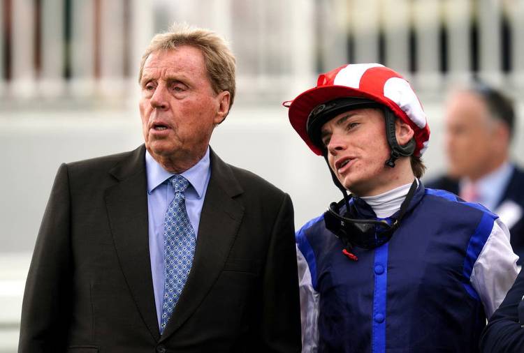 Which horse did Harry Redknapp own in the Grand National?