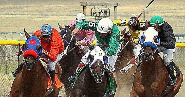 White Pine County Fair, horse races this weekend