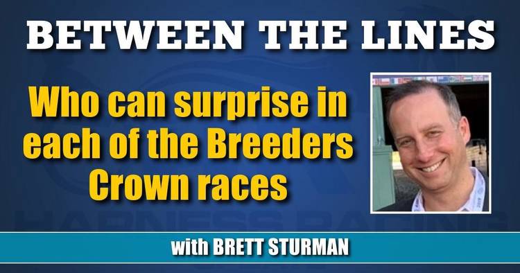 Who can surprise in each of the Breeders Crown races