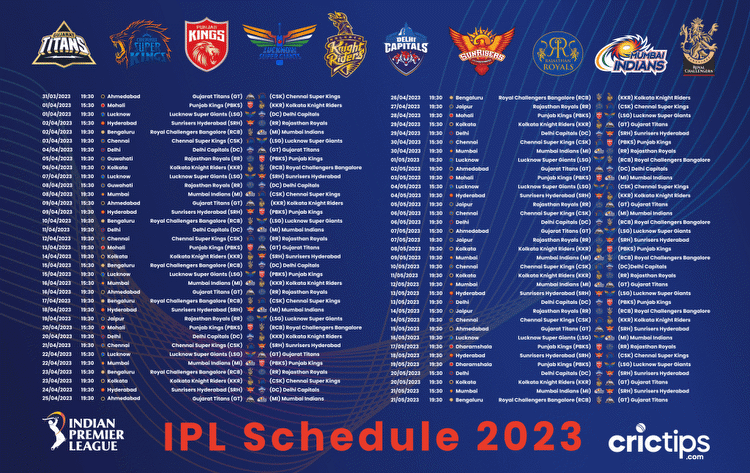 Who will win the IPL?