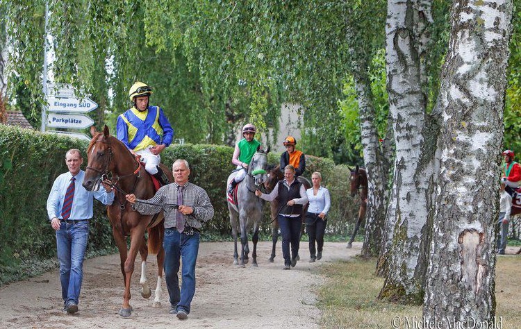 Why German-breds are sweeping all before them in the world’s most glamorous races