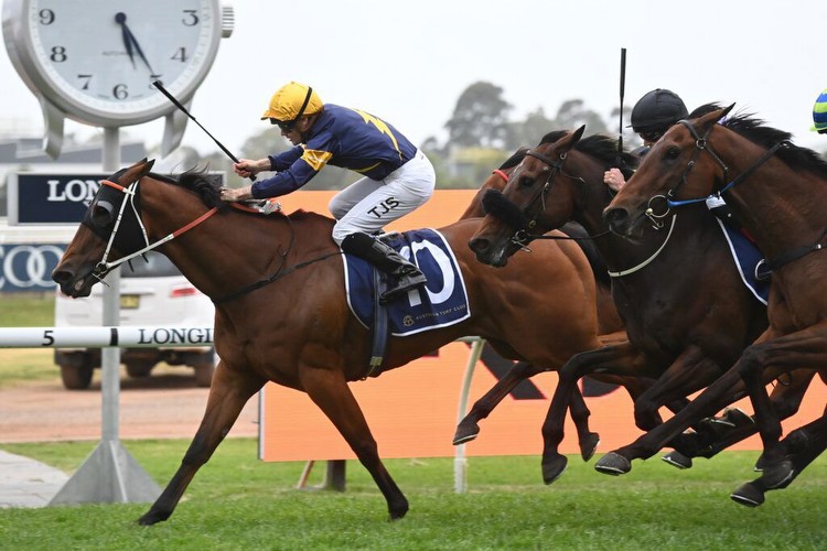 Wild Planet goes the distance in Rosehill Gold Cup