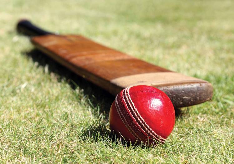 Will Cricket Be a Part of the 2028 Summer Olympics?