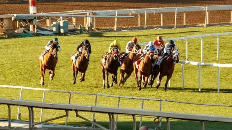 Will Horse Racing Betting Ever Move Onto Mainstream Betting Apps?