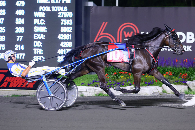 Willys Home Run scores another OSS win at Woodbine Mohawk Park