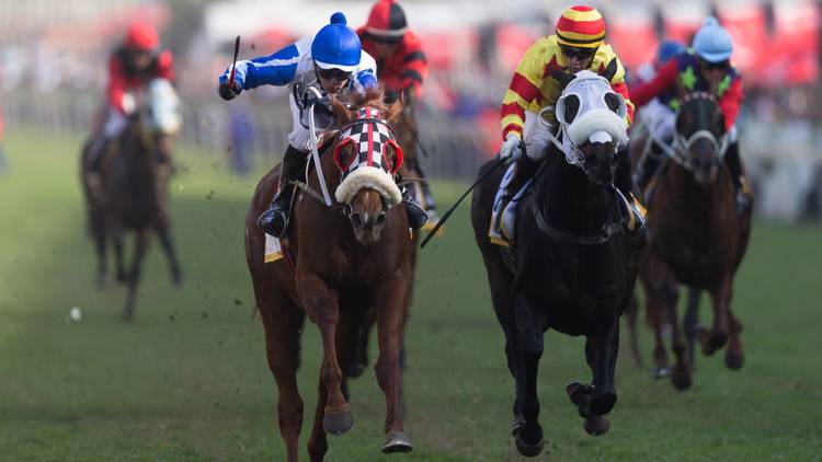 Winchester Mansion Durban July 2023 Betting Odds