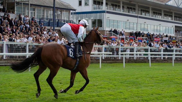 Windsor betting tip: Master of the course William Buick set for winning ride on Tanmawwy