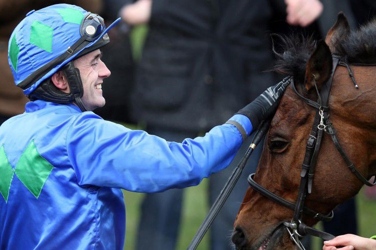 Winners alright: 7 Irish horses that got us talking in 2013