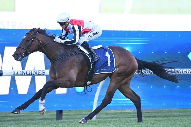 Winter Stakes favourite unlikely to run