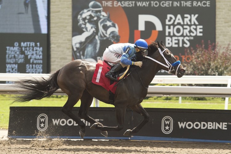 Woodbine Entertainment simplifies wagering on Horse Racing with Innovative Dark Horse Bets App