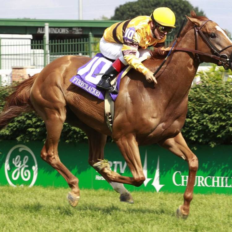 Woodbine Mile: Impressive Wise Dan Will Be the Horse to Beat