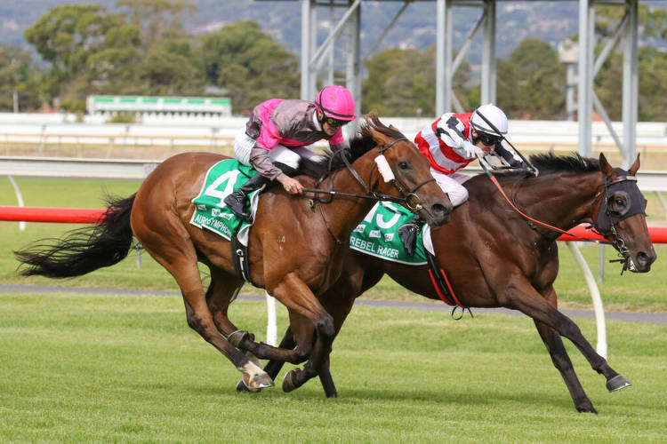 Yargi's race to Adelaide Cup success