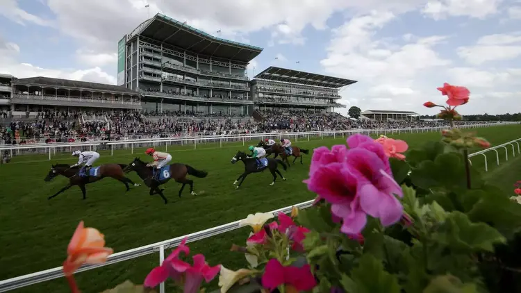 York each-way selection: Thunder Moor looking to reward new in-form stable with another win