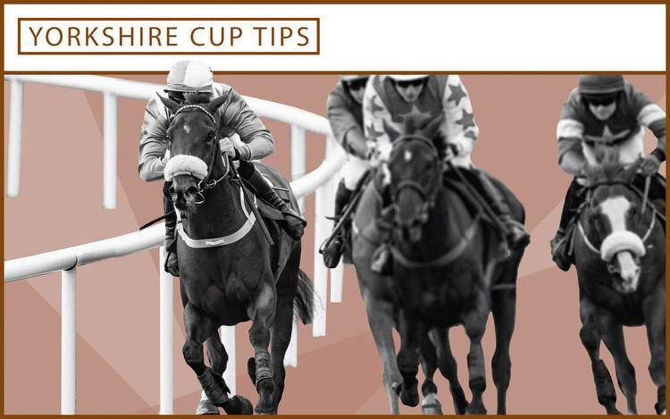 Yorkshire Cup tips and odds: Quickthorn backed to win