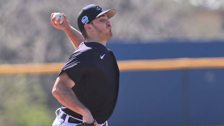 Zach Logue ready to roll with any opportunity with Detroit Tigers